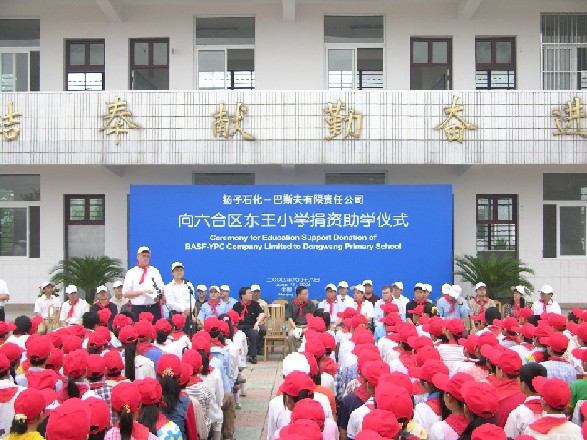 x_16616869.jpg